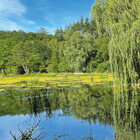 Garten. Fest. Spiele. – ein Marketing-Blick hinter die Kulissen der Niedersächsischen Landesgartenschau (LAGA)